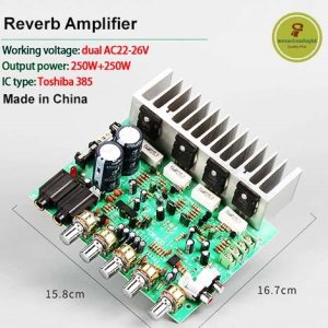 200W 2.0 Audio Power Amplifier Board HIFI Stereo Amplification Digital Reverb Microphone Amplifier Tone Board